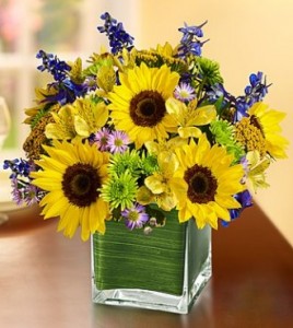 Fields of Europe for Summer in Cube Vase 