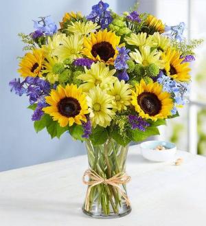Fields of Europe for Summer MIX GARDEN FLOWERS