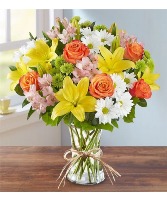 159229 FIELDS OF EUROPE  