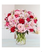 Fields Of Europe Romance- Luxe 