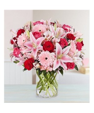 Fields Of Europe Romance- Luxe 