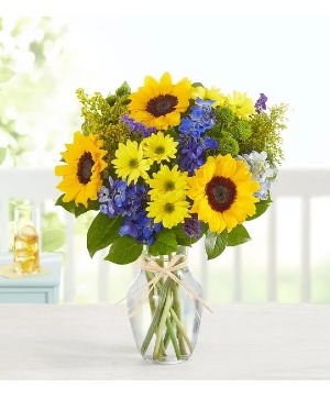 Fields of Europe Summer Sunflowers, yellow and Blue 