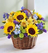 Fields of Europe™ Summer Basket 