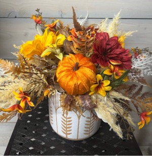 Fields Of Fall  