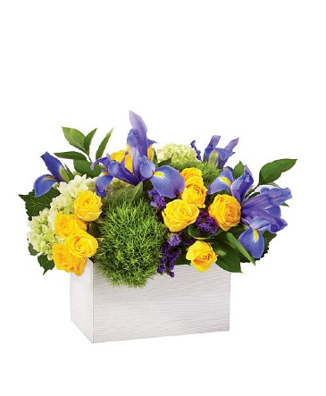 Fields of Iris Arrangement in Winnipeg, MB | Ann's Flowers & Gifts