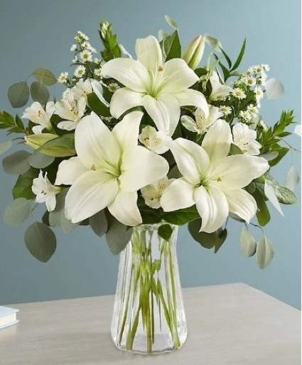Fields of Lily 