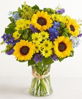 Fields of Summer Just Because Arrangement