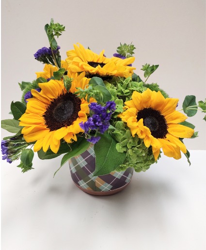 FIELDS OF SUNSHINE 