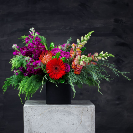 Fiesta Arrangement