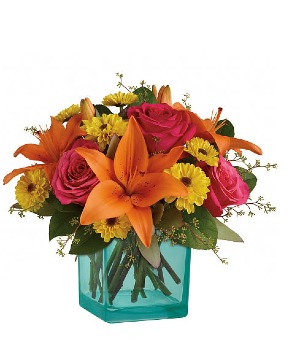 Fiesta Arrangement