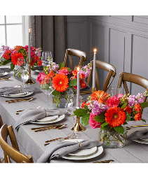 Fiesta CGPd Centerpieces