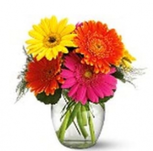 Fiesta Gerbera Vase