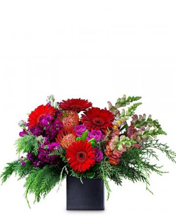 Fiesta Grande Arrangement