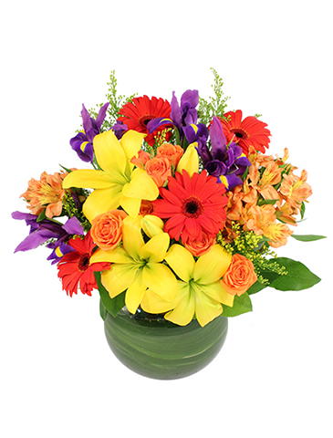 Fiesta Time! Bouquet in Monticello, IN | The Enchanted Garden Flowers & Gifts