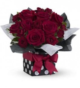 FIFTH AVE ARRANGEMENT 