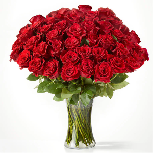 Fifty Long Stem Red Roses 