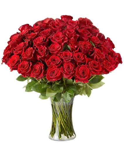 Fifty Long Stem Red Roses with Vase 