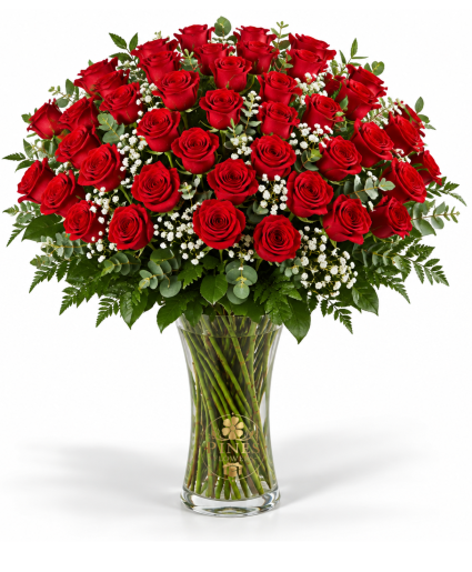 Fifty Premium Roses 