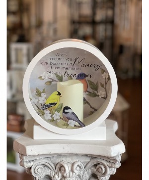 Finch Shadow Box 