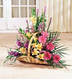 FIRESIDE BASKET  WITH GERBERA from Roma Florist 