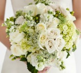 Fit for a Queen Oasis holder