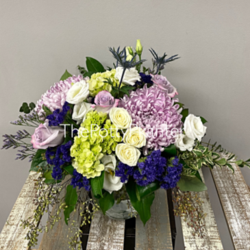 Flawless  in Etobicoke, ON | THE POTTY PLANTER FLORIST