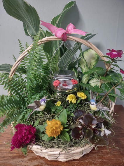 Flight In The Garden Plant basket...indoor & outdoor