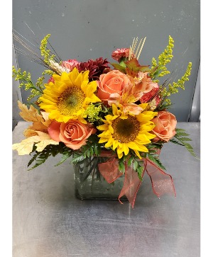 Flirty Autumn 55.95,60.95
