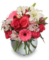 Floral Attraction 