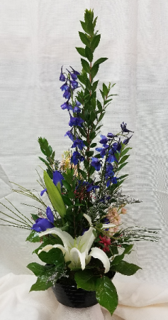 Floral Explosion 