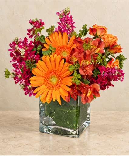 Floral Exuberence 