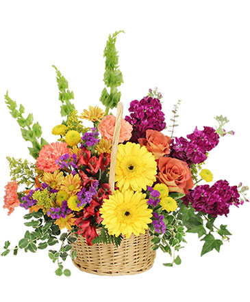 Floral Flavor Basket in Presque Isle, ME | COOK FLORIST, INC.
