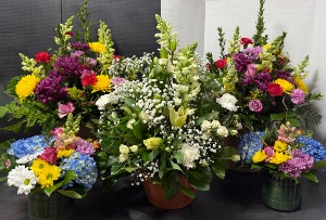 Floral Rental Package Plant Rentals