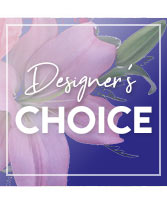 Send Beauty Designer's Choice