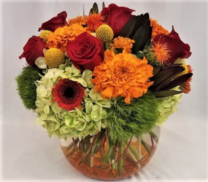 Florida's Fall Arrangement