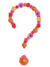 Custom Design/Florist Choice   $65.95, $75.95 85.95