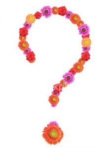 Custom Design/Florist Choice   $65.95, $75.95 85.95