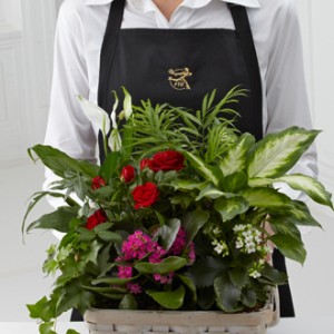 Florist Designed Blooming Plants plant