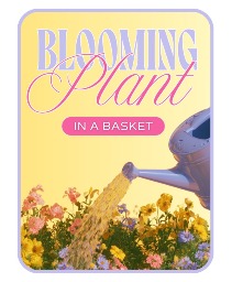 Florist's Choice of Blooming Plant Flower Arrangement