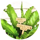 Plant with "Child" Signs  
