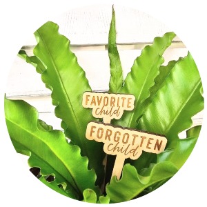 Plant with "Child" Signs  
