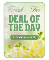 Florist's Deal of the Day Flower Arrangement