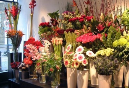 DESIGN DREAM ARRANGEMENTS BY ANTHONY 