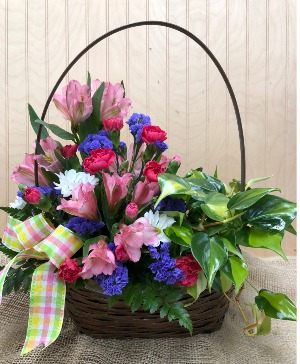 FLOWER AND PLANT COMBO WOODBURY'S ORIGINAL 