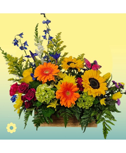 Gardeners View Arrangement