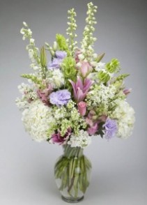 Flower Jazz  everyday