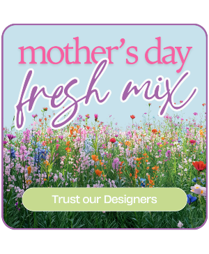 Designer's Choice Arrangement Mother's Day