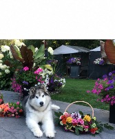 Flower Subscription  Hand tied bouquet