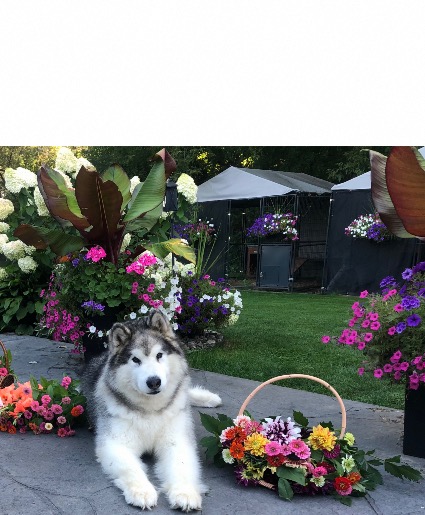 Flower Subscription  Hand tied bouquet