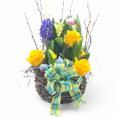 Flowering Bulb Easter Basket - Large plants